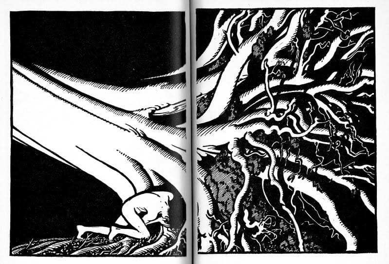 Artwork Title: Illustration for Green Mansions
