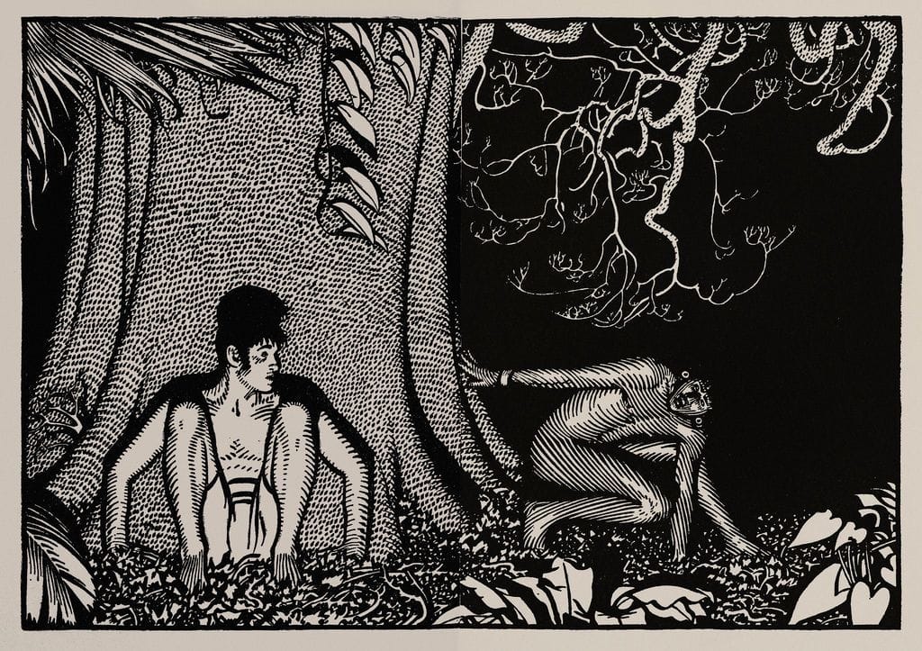 Artwork Title: Illustration for Green Mansions