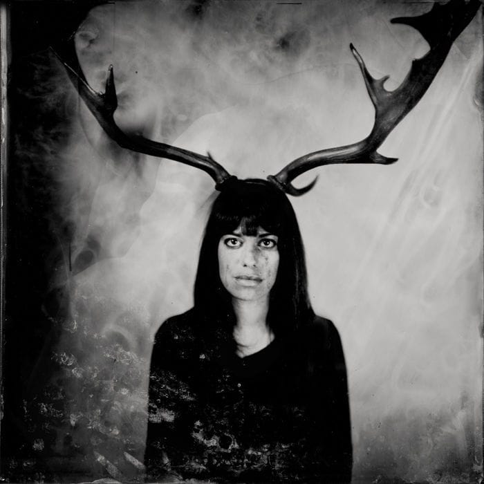 Artwork Title: The Deer