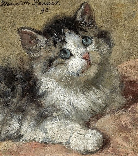 Artwork Title: Kitten