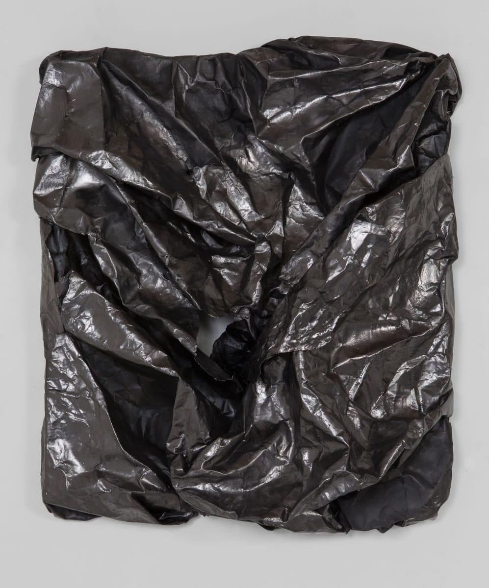 Artwork Title: Shield Wrap 9