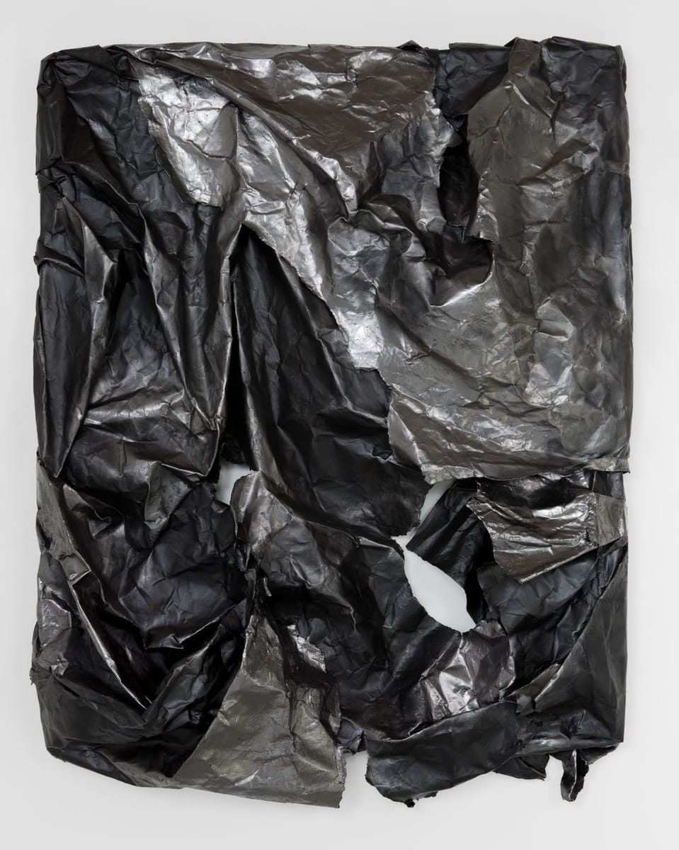 Artwork Title: Shield Wrap 10