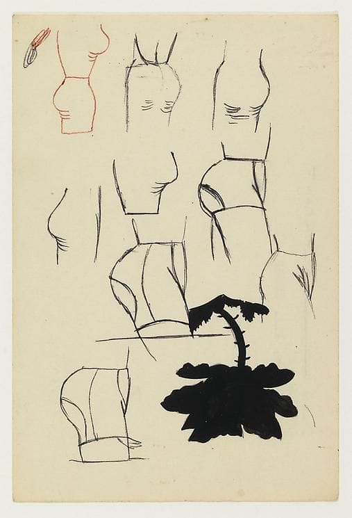 Artwork Title: Untitled (Hips and a Flower)
