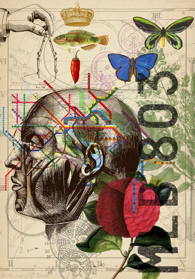 Artwork Title: undefined