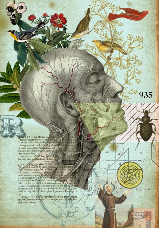 Artwork Title: Deliri anatomici