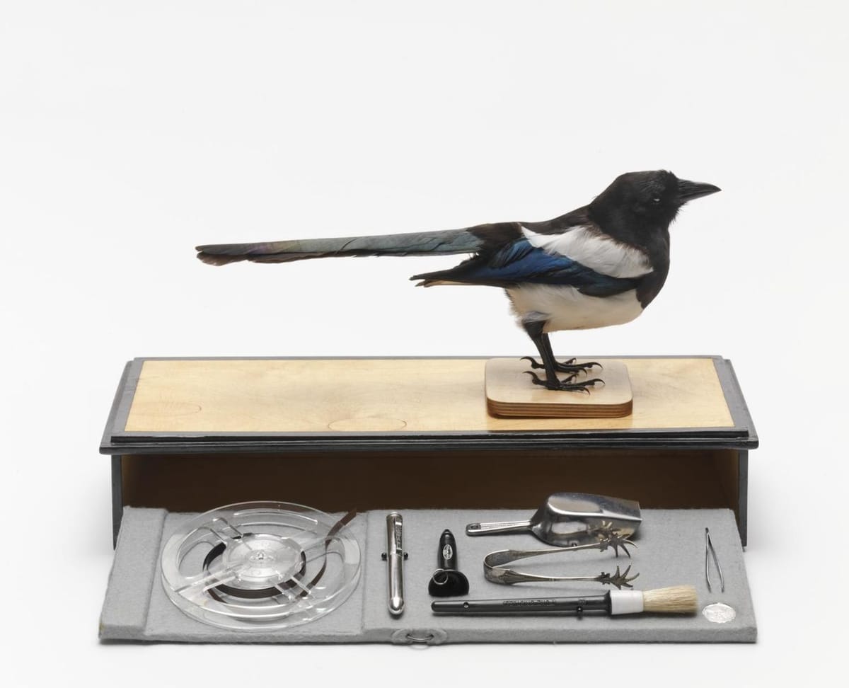 Artwork Title: The Magpie's box