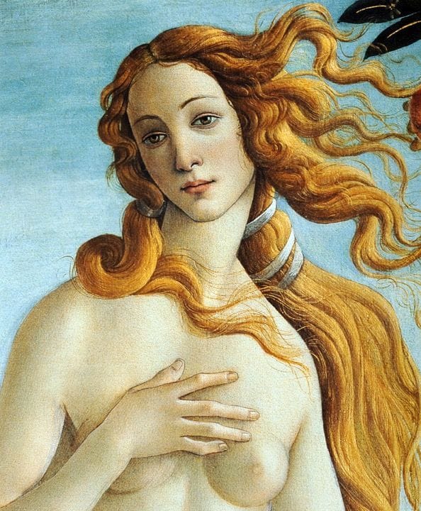 Artwork Title: Birth of Venus