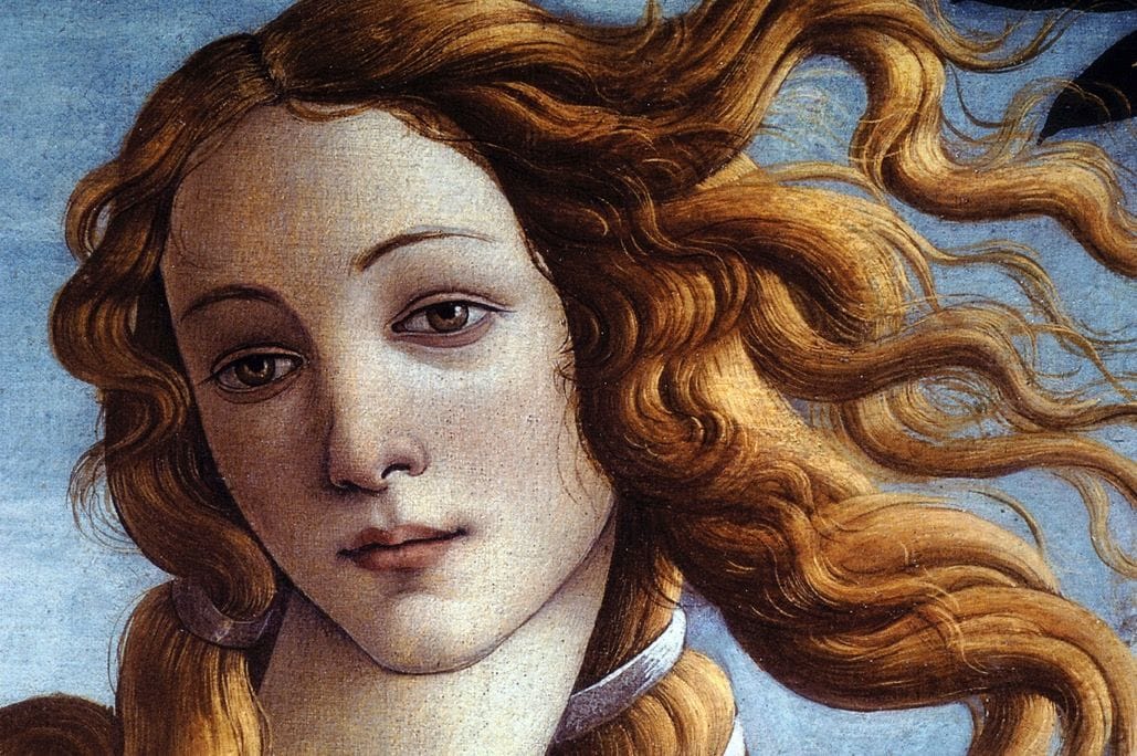 Artwork Title: Birth of Venus