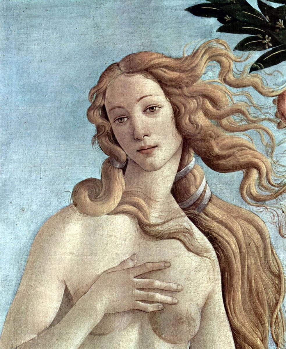 Artwork Title: Birth of Venus