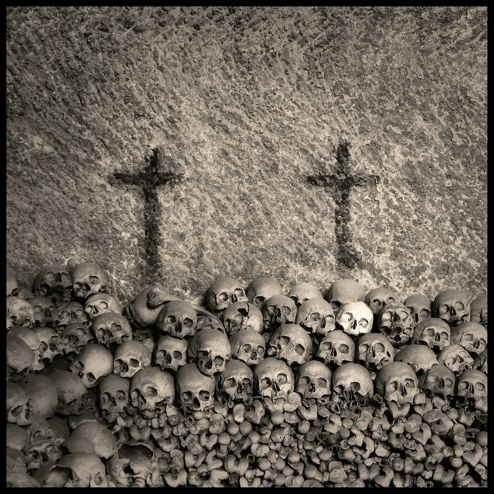 Artwork Title: Skull 3
