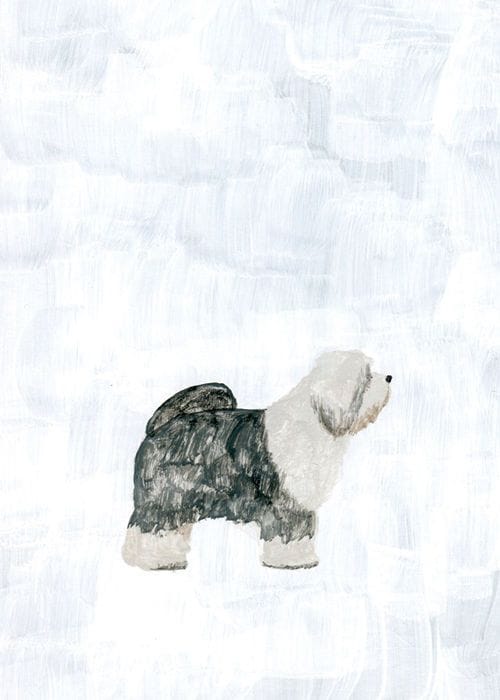 Artwork Title: Old Sheep Dog