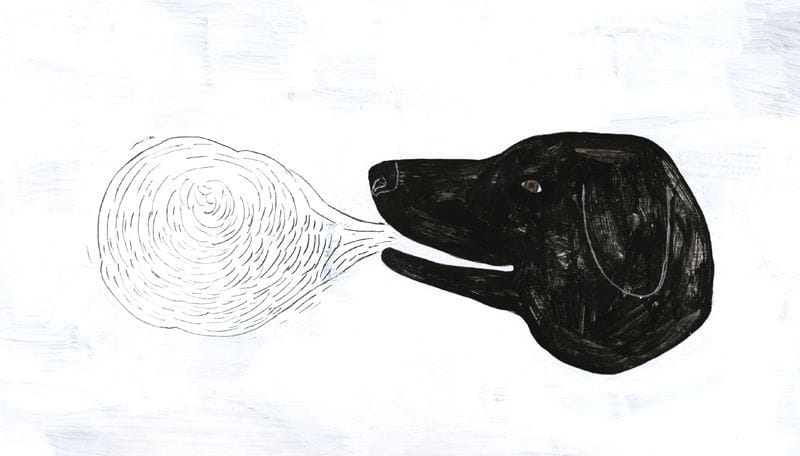 Artwork Title: Breath Has Become White