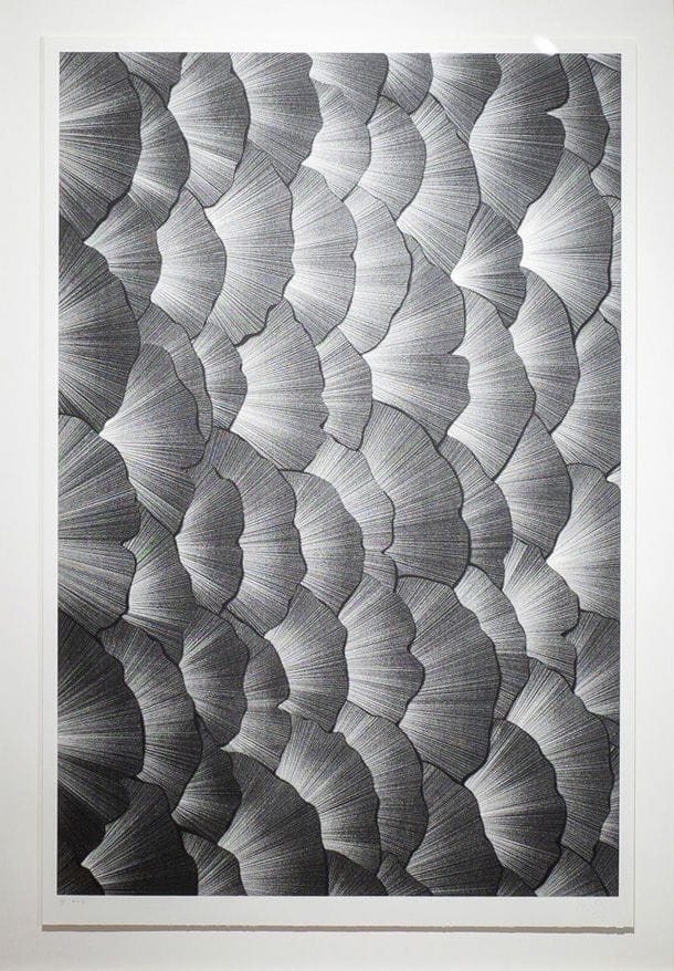 Artwork Title: Leaves of Light