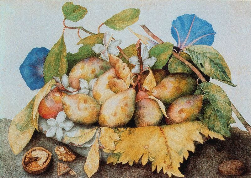 Artwork Title: Plate of Plums with Jasmine and Nuts