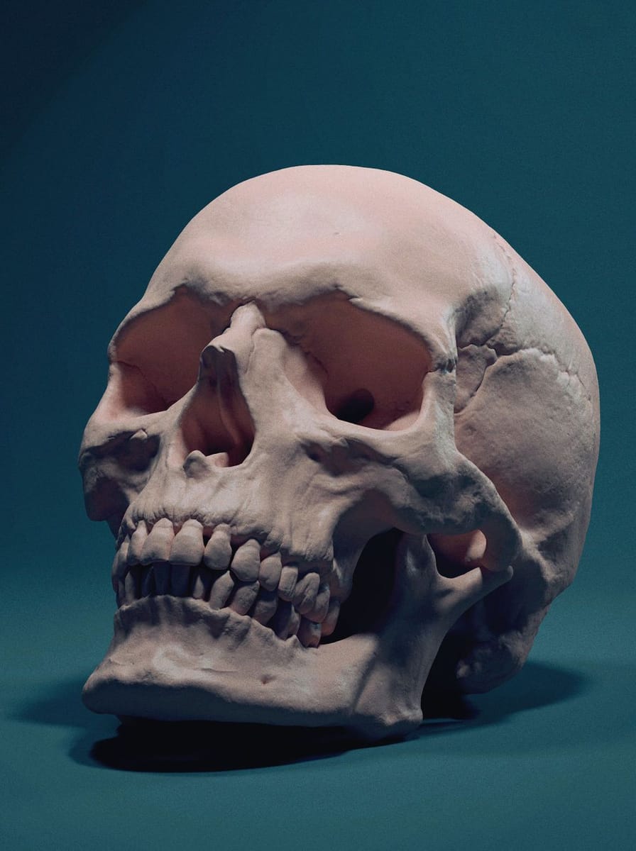 Artwork Title: Skull