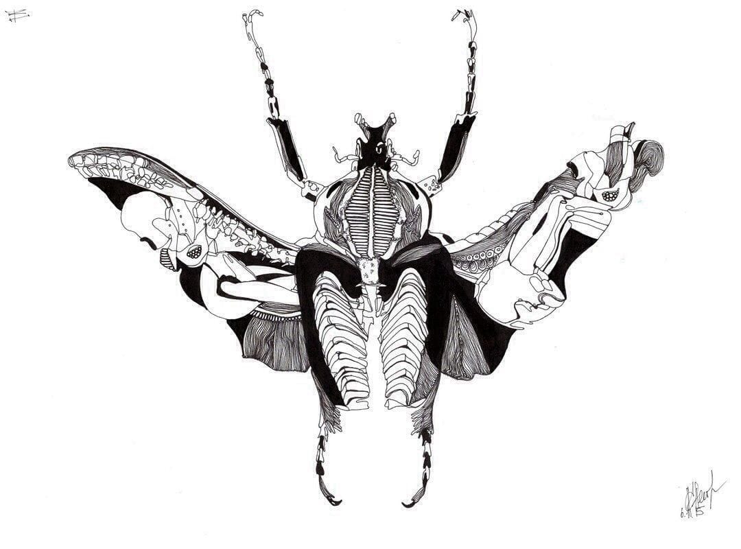 Artwork Title: Nasekomoe