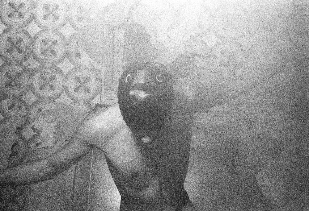 Artwork Title: Crow