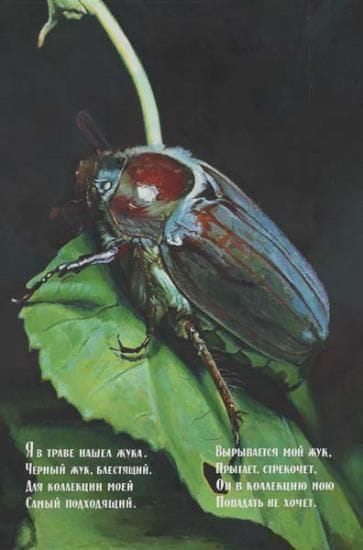 Artwork Title: Beetle