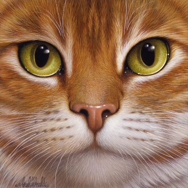 Artwork Title: Orange Tabby