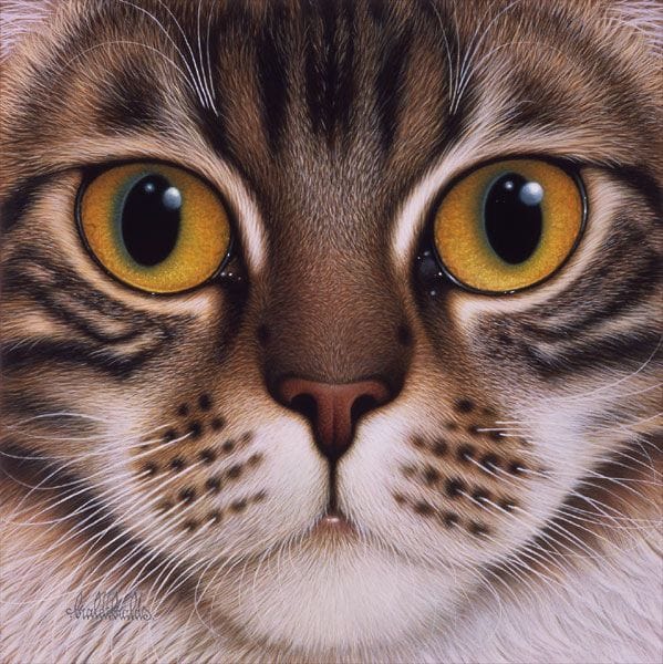 Artwork Title: Maine Coon