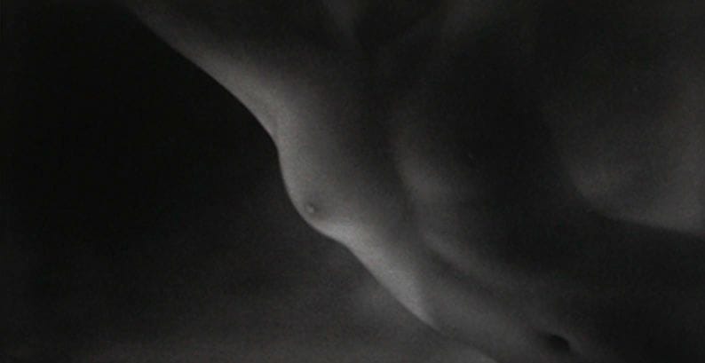Artwork Title: S'envoler