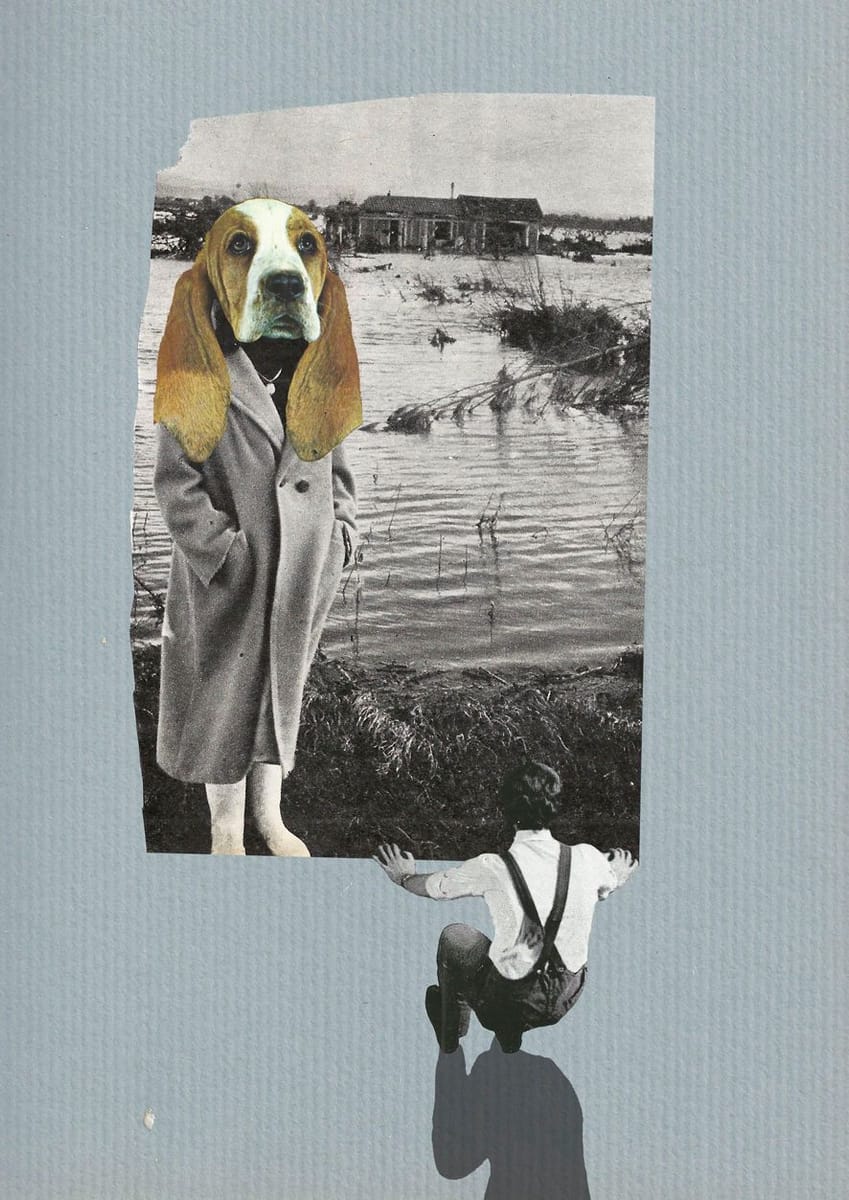 Artwork Title: undefined