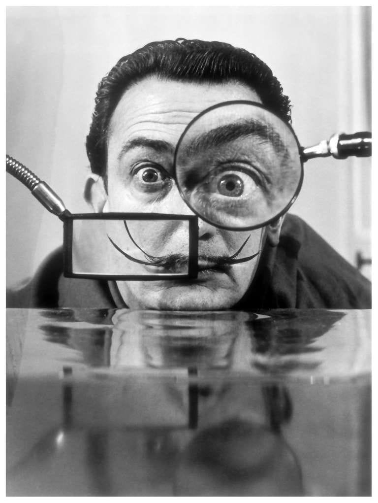 Artwork Title: Salvator Dali