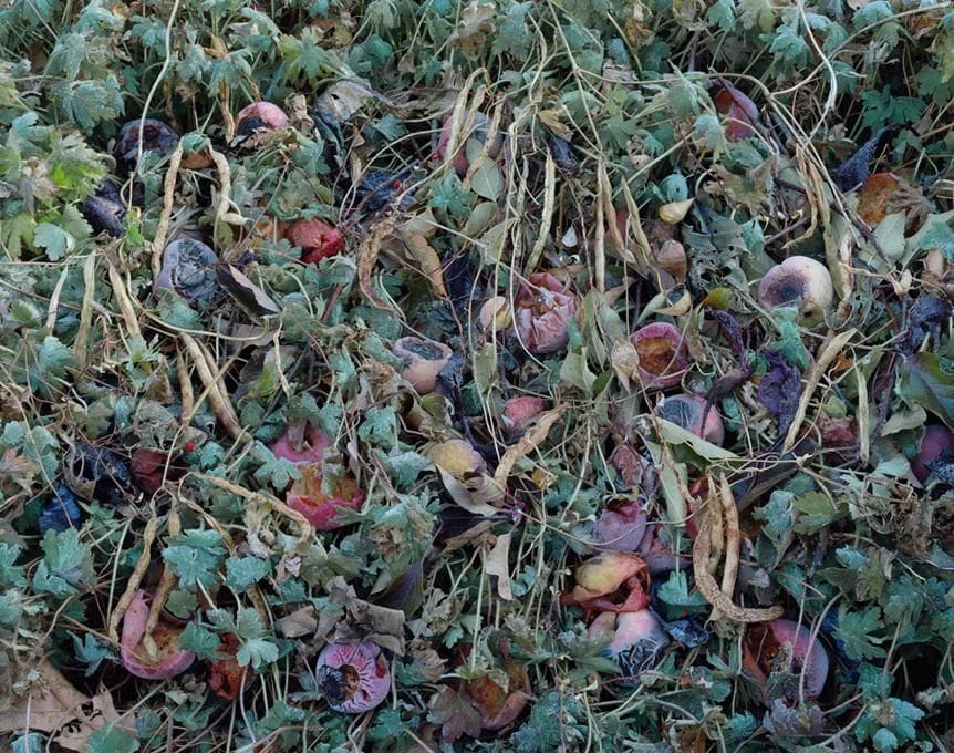 Artwork Title: Fallen N° 426