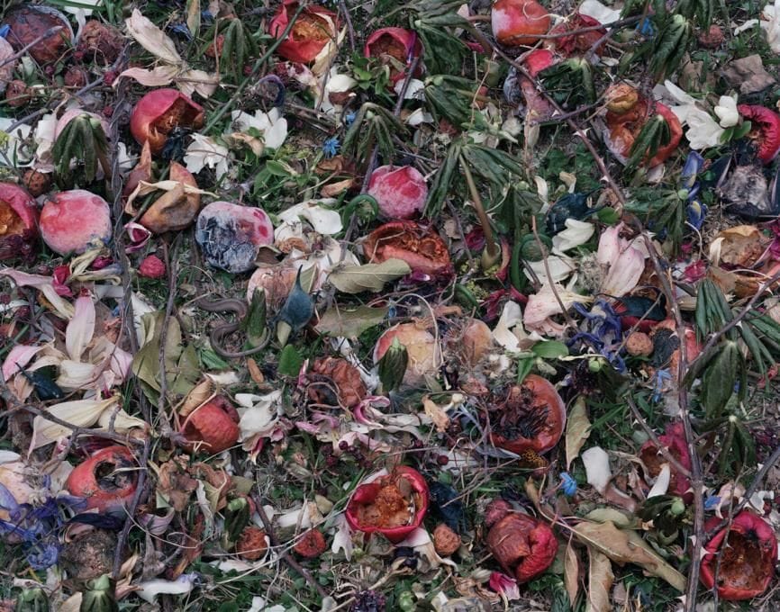 Artwork Title: Fallen N° 439