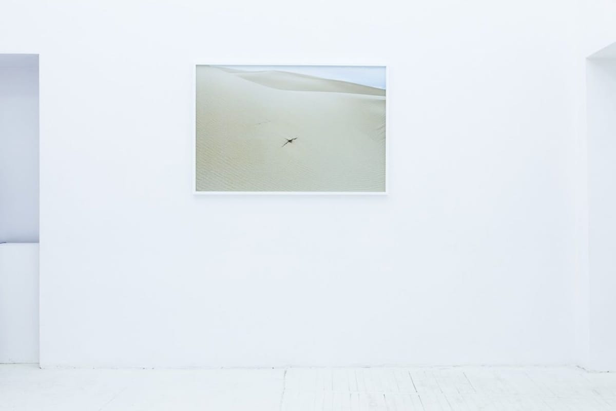 Artwork Title: Drawings (exhibition view)