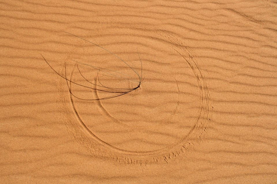 Artwork Title: Radius Work
