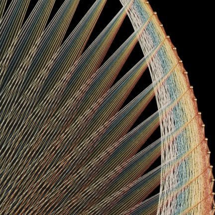 Artwork Title: Curve of Developing Consciousness #1