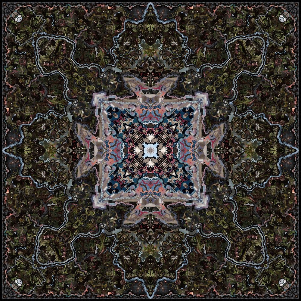 Artwork Title: Habitat