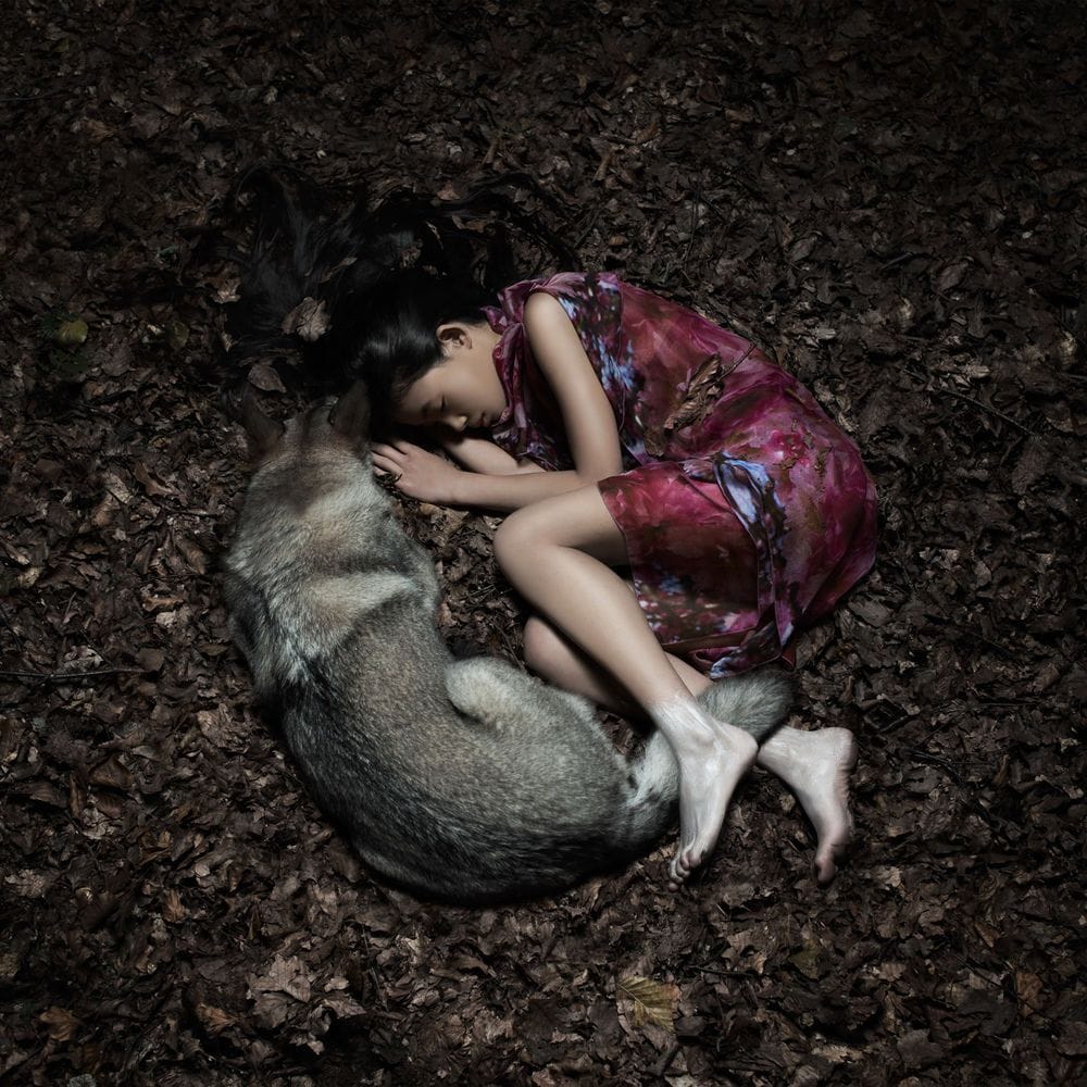 Artwork Title: Union (Woodland series)