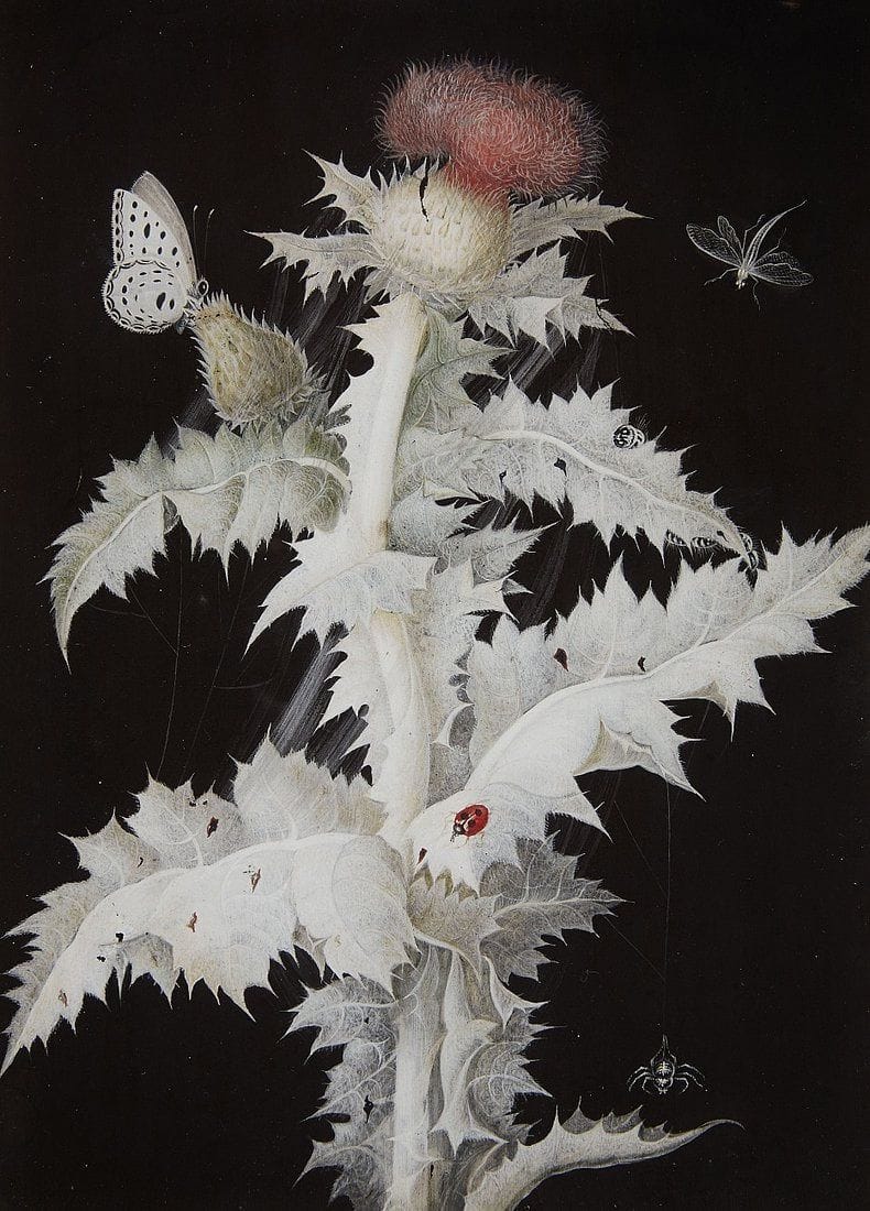 Artwork Title: A Thistle Branch with a Butterfly, Dragonfly, Ladybird and Spider