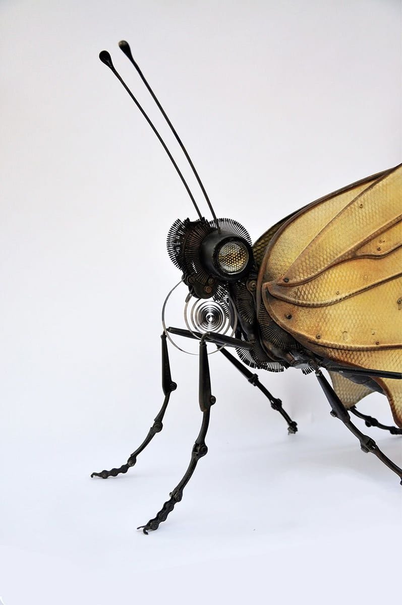 Artwork Title: Butterfly