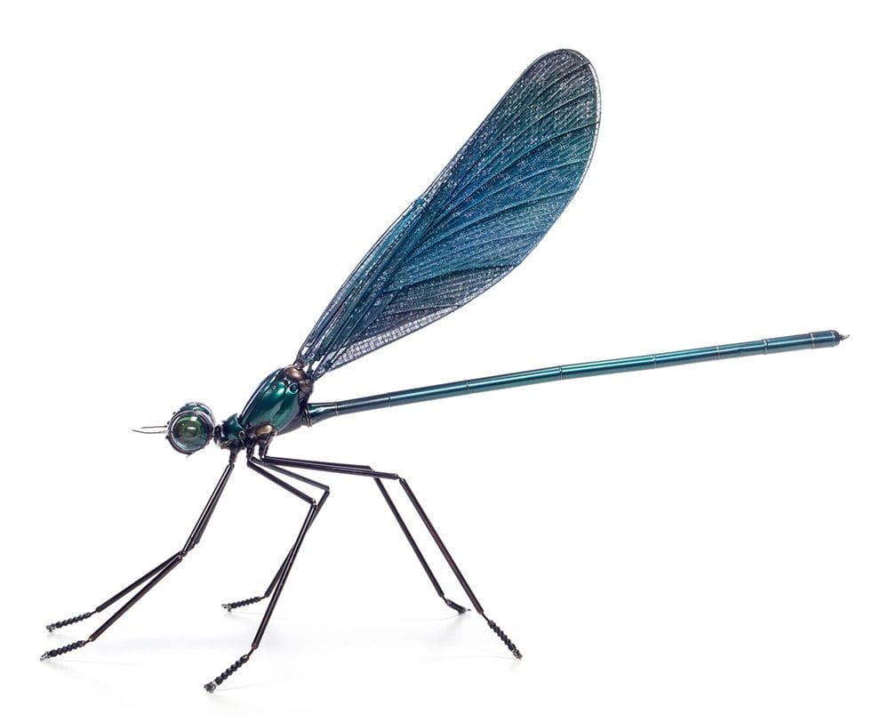 Artwork Title: Dragonfly