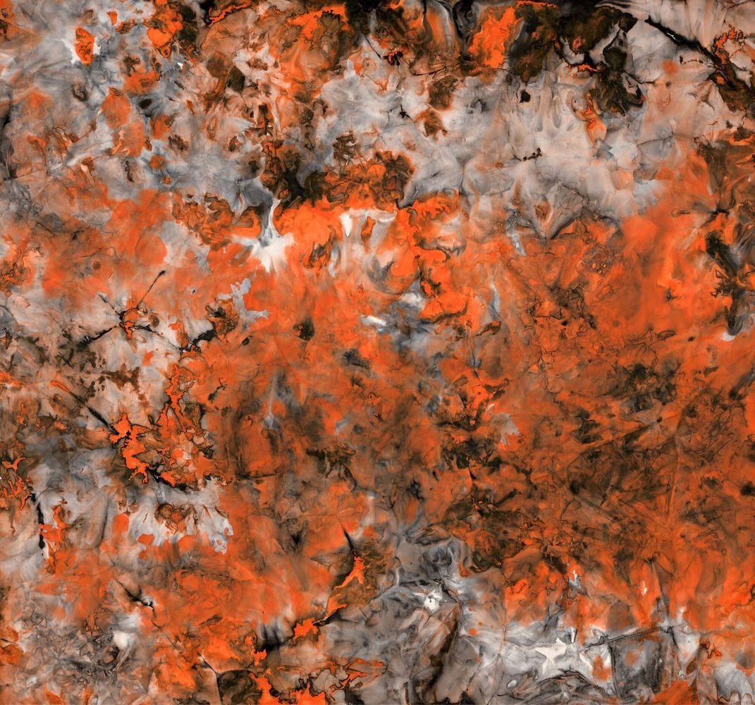 Artwork Title: No Title