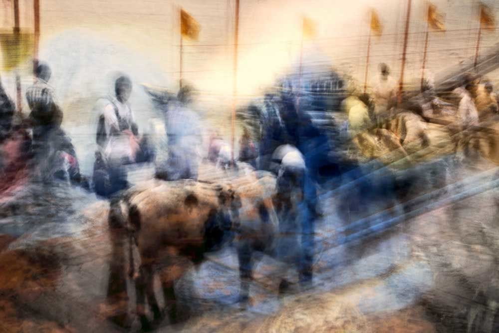 Artwork Title: Indigo