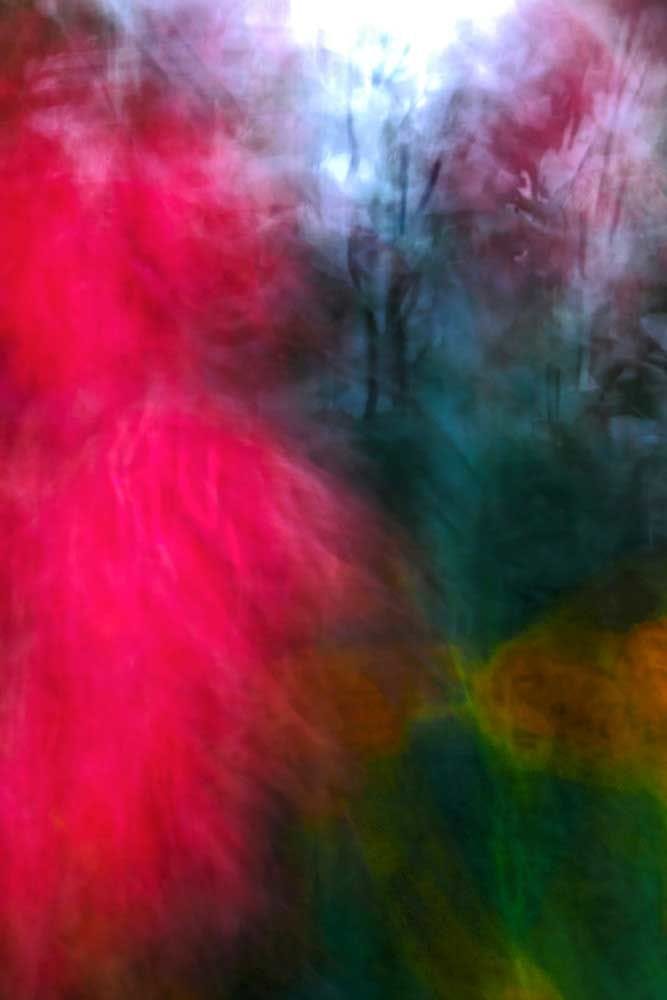 Artwork Title: Shangri La
