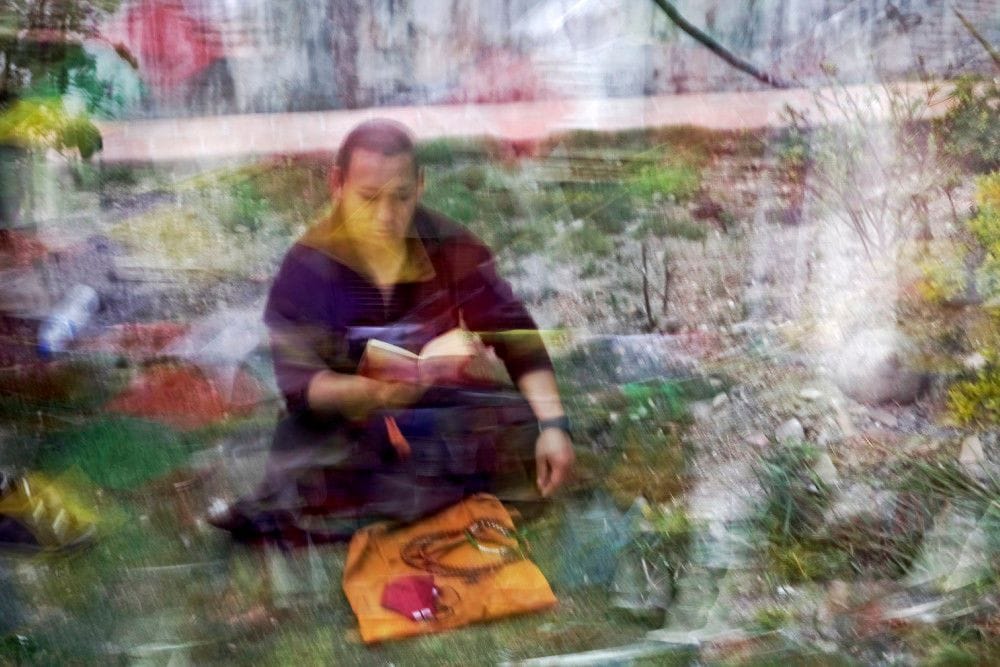 Artwork Title: Lecture Méditative
