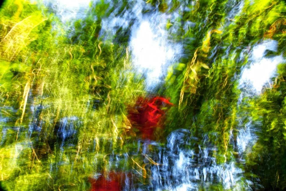 Artwork Title: Couleur De Jungle