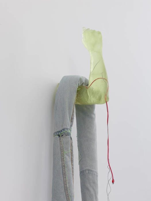 Artwork Title: Utopic Accumulation (Arm Hook)