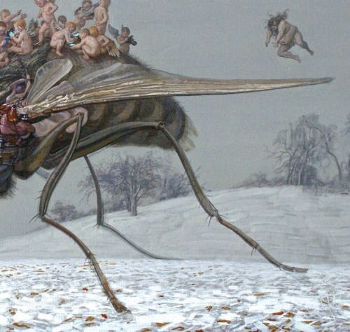 Artwork Title: The Fly