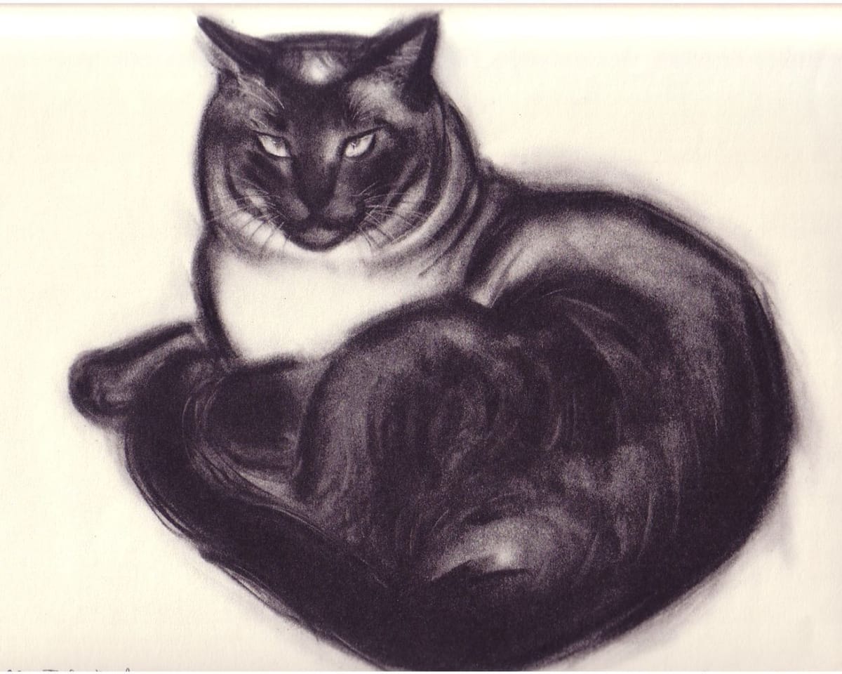 Artwork Title: Malo, Illustrations from Cats & Kittens, a Portfolio