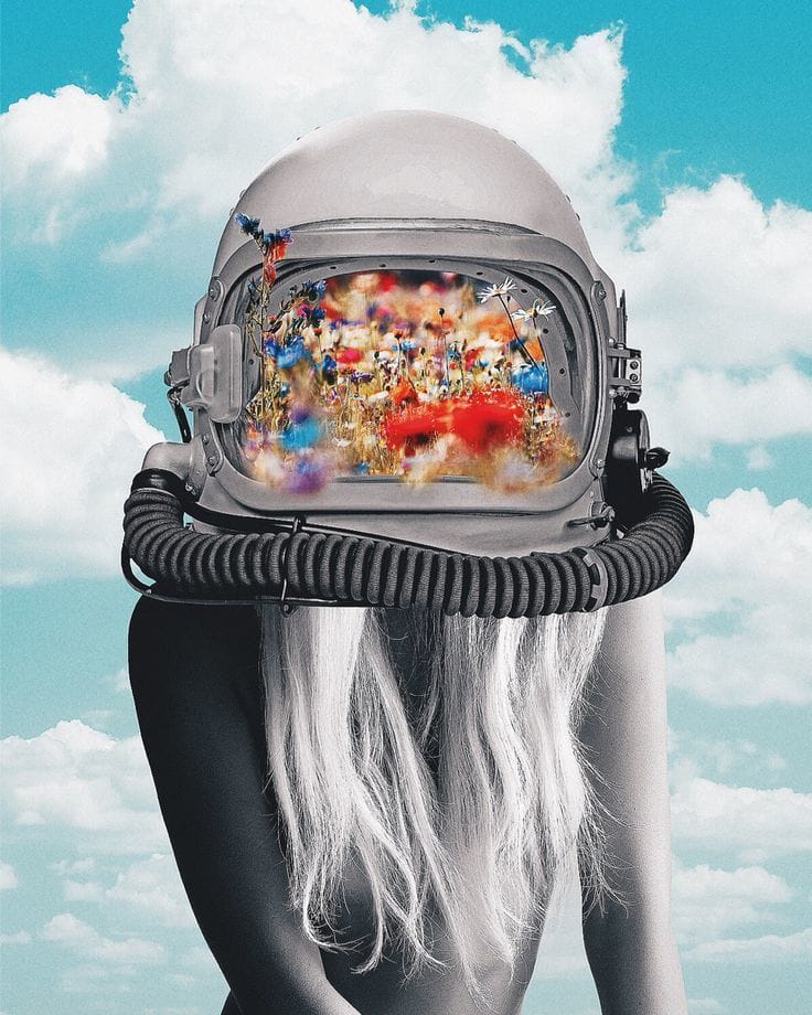 Artwork Title: undefined