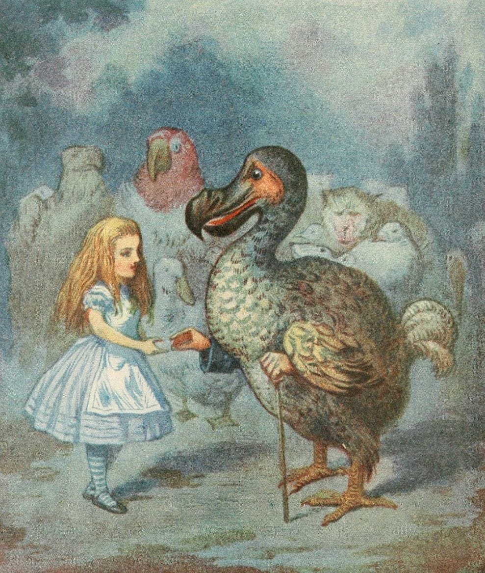 Artwork Title: Alice and the Dodo