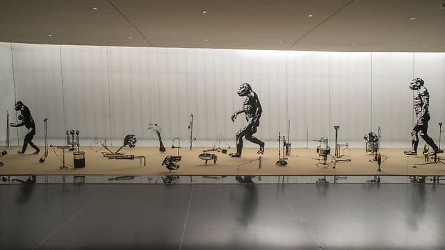 Artwork Title: Evolution and Theory