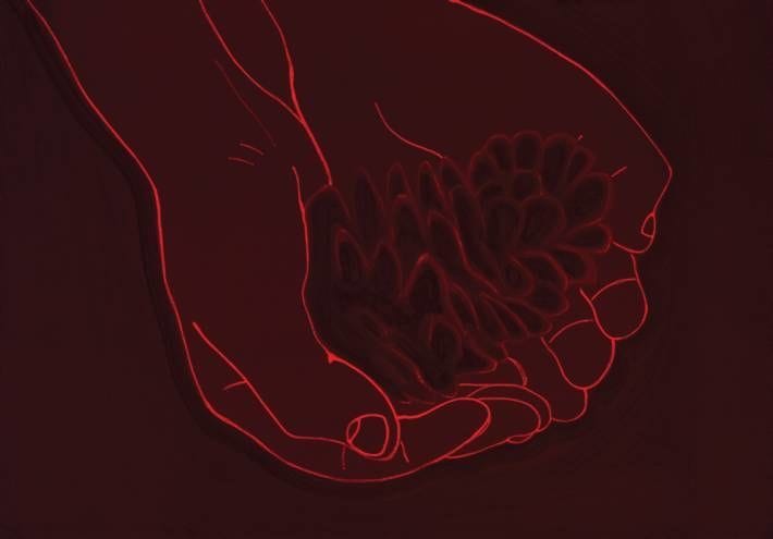 Artwork Title: Hands with a Pinefruit