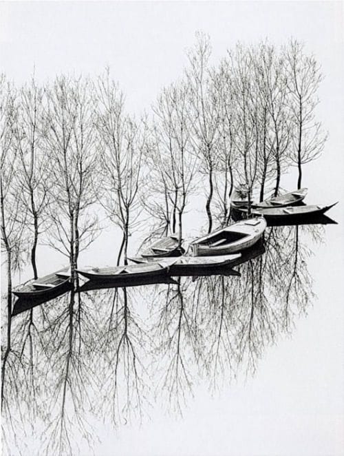 Artwork Title: undefined